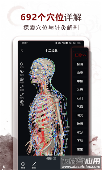 中医经络穴位app截图1