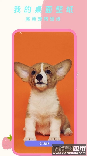 我的桌面壁纸app截图1