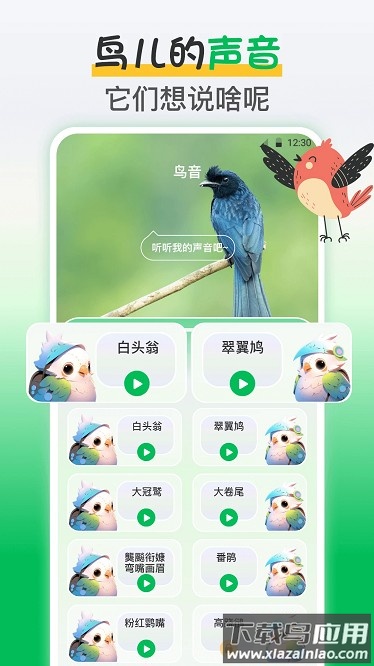鸟语翻译王最新版截图1