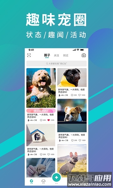 宠都手机版截图3