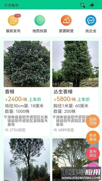 苗木人软件截图