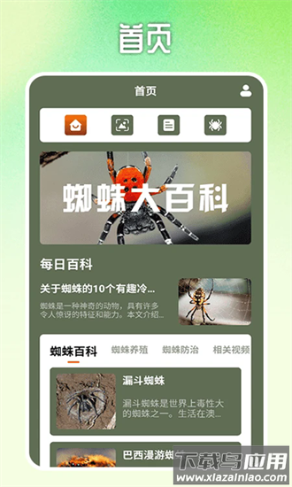 蜘蛛大玩家百科最新版截图4