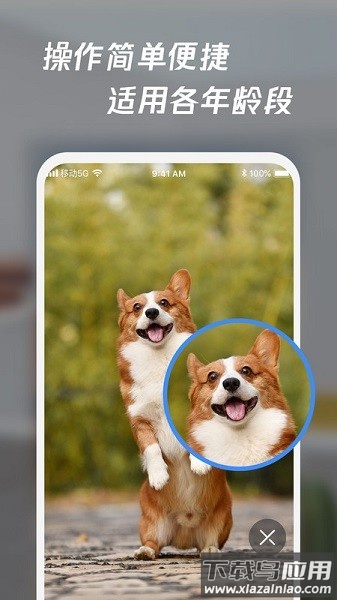 放大镜高清版应用最新版截图2