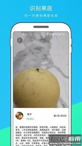 万物识别王软件截图2