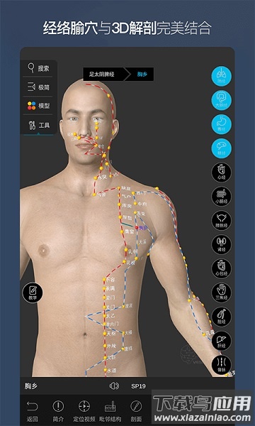 维萨里3d解剖免费版截图2