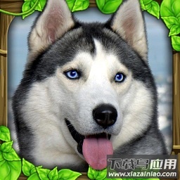 流浪狗生存模拟器中文版