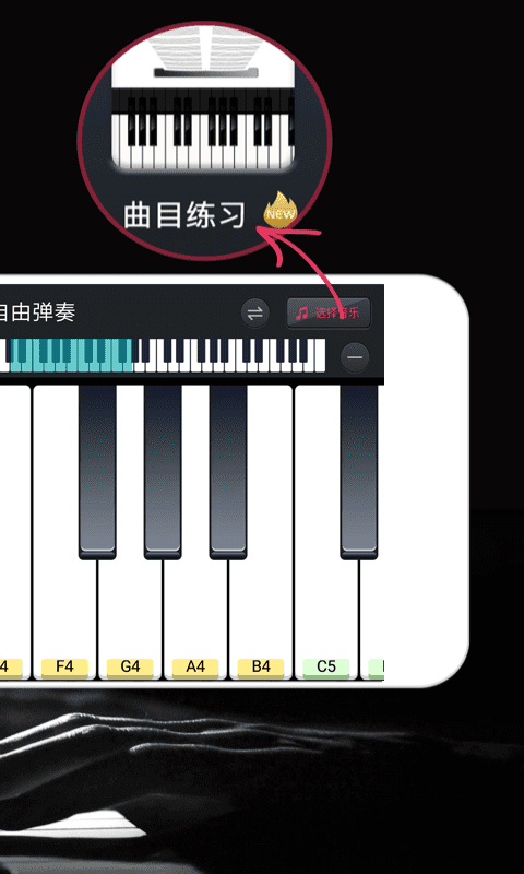 模拟钢琴app安卓版截图2