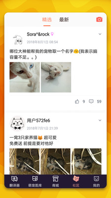 猫语翻译器免费版截图1