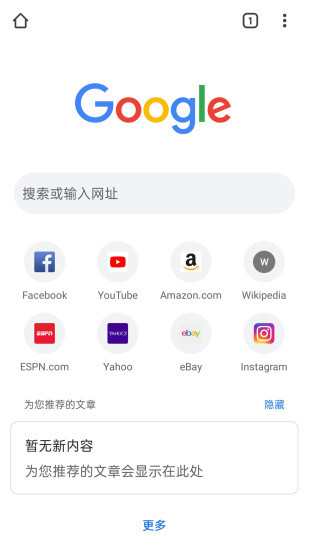 谷歌chrome浏览器