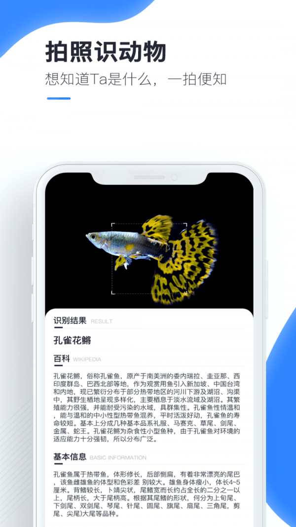 百科扫描王截图1