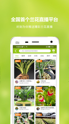 兰花交易网截图2
