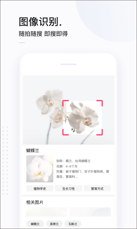 百度简单搜索app截图3