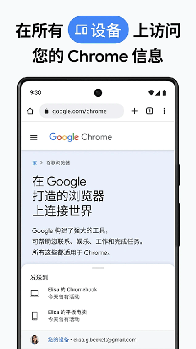 chrome canary(金丝雀)最新版截图2