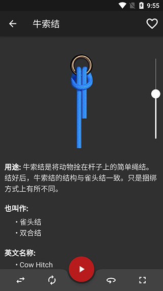 Knots 3D结绳最新版截图2