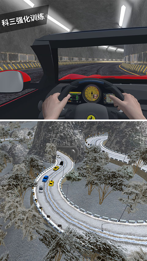 驾考模拟3d最新版截图5