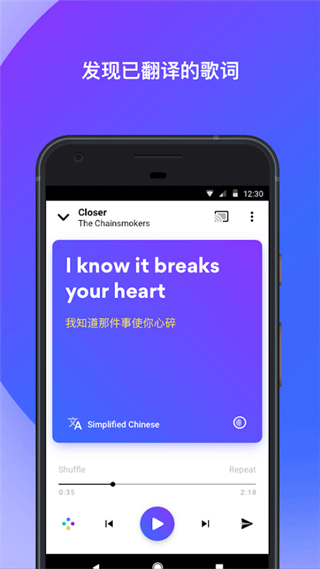 musixmatch歌词插件截图1