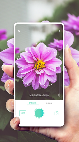 形色植物识别app截图1