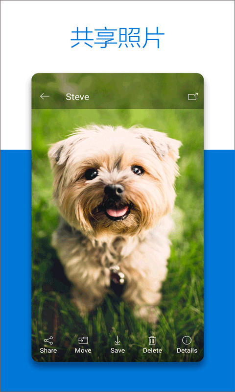 微软云盘onedrive手机版截图2