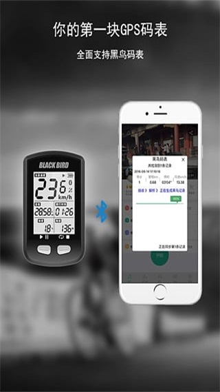 黑鸟单车app截图4