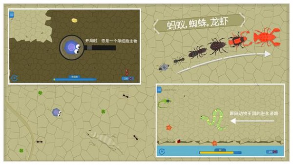 动物进化游戏混种孢子突变截图2