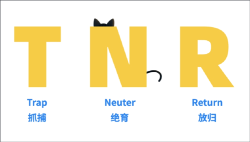 哈啰街猫app