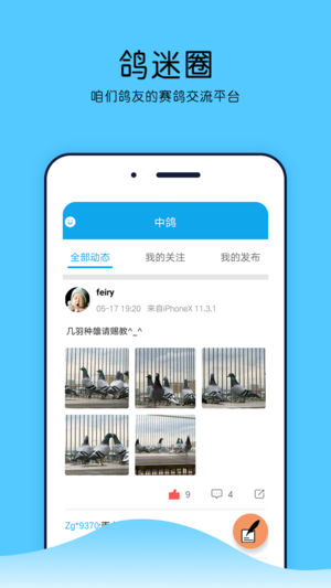 中鸽网app截图5