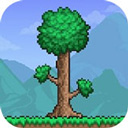 泰拉瑞亚国际服最新版本2025(Terraria)