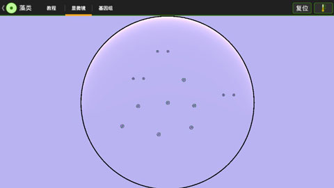 细胞实验室汉化版截图3