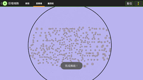 细胞实验室汉化版截图5