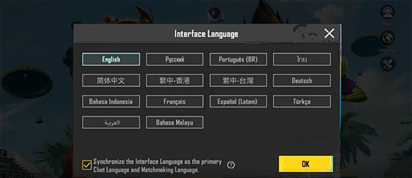 中文选项界面