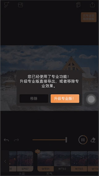 pixaloop最新破解版安卓中文版截图2