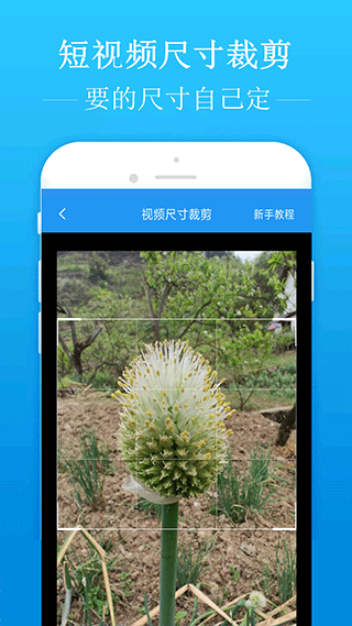 去水印吧手机版截图2