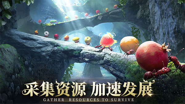 小小蚁国国际服最新版截图1