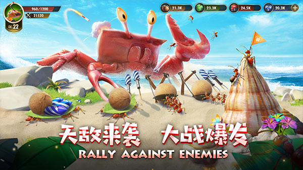小小蚁国国际服最新版截图4
