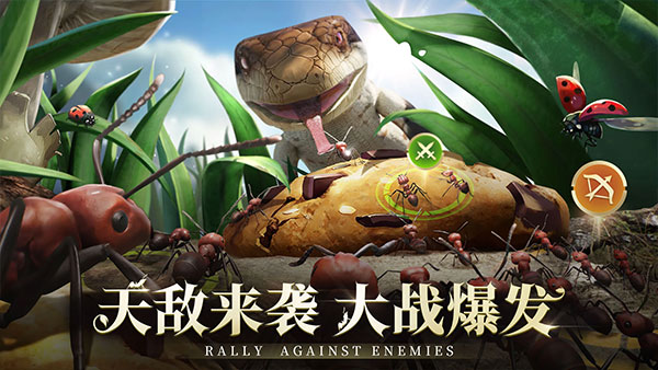 小小蚁国国际服最新版截图5