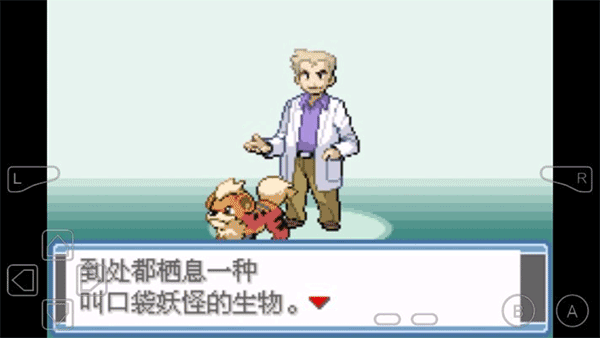 口袋妖怪永恒之焱手机版截图1