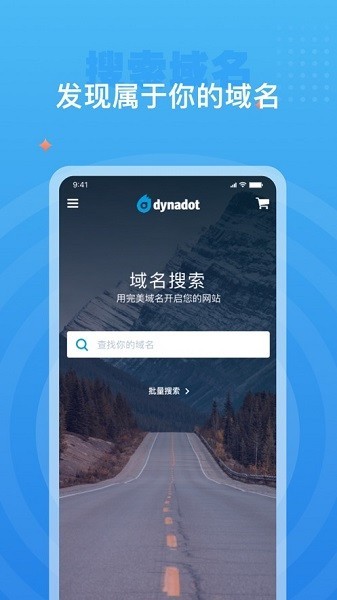Dynadot域名解析截图1
