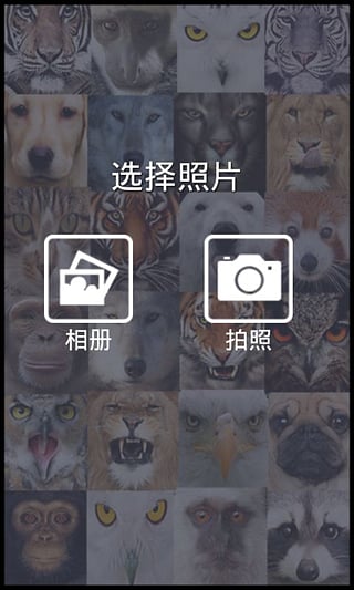 变脸相机软件截图5