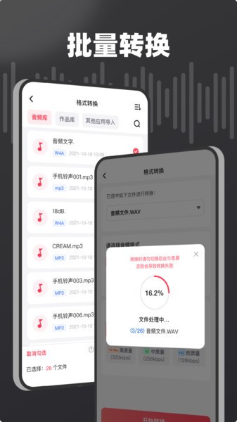 专业音频处理工具界面