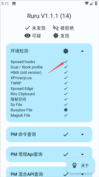 检测结果示例