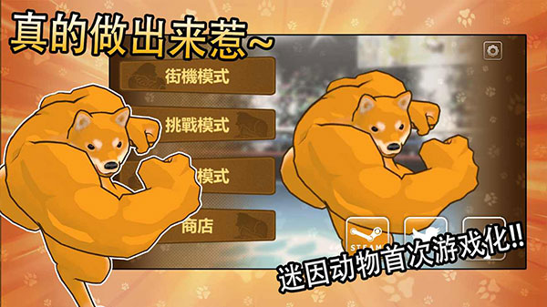 动物之斗官方正版截图3