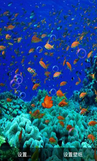 海底动态壁纸手机壁纸(Ocean HD)截图4