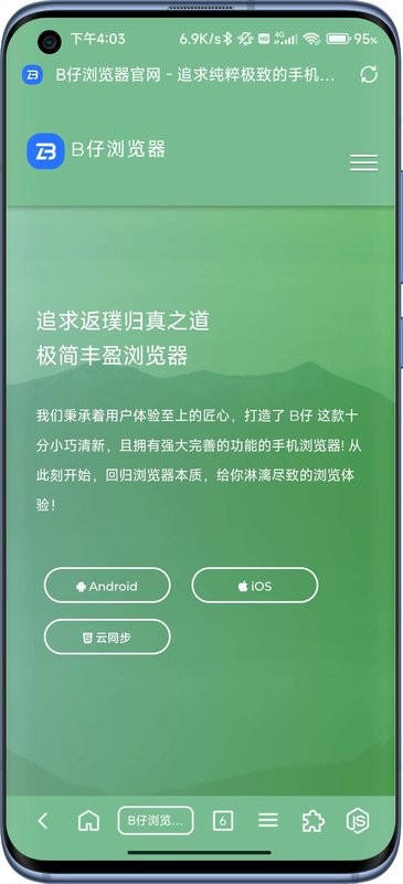 b仔浏览器酷安截图5