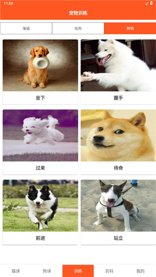 萌趣猫狗翻译器app截图3
