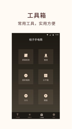 桔子手电筒app截图2