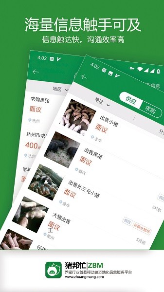 猪邦忙截图1