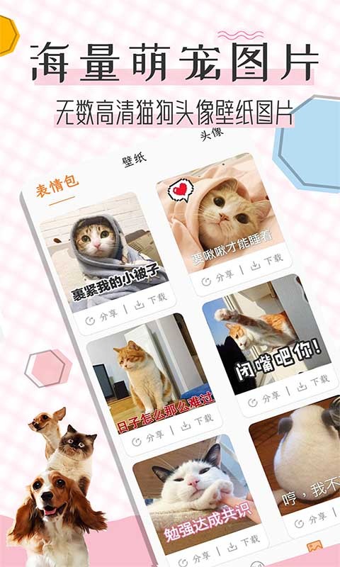 猫语翻译宝app截图2