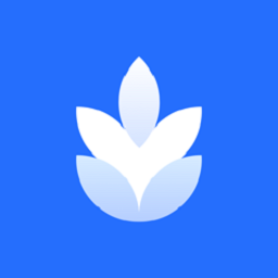 麦片屏幕翻译官方