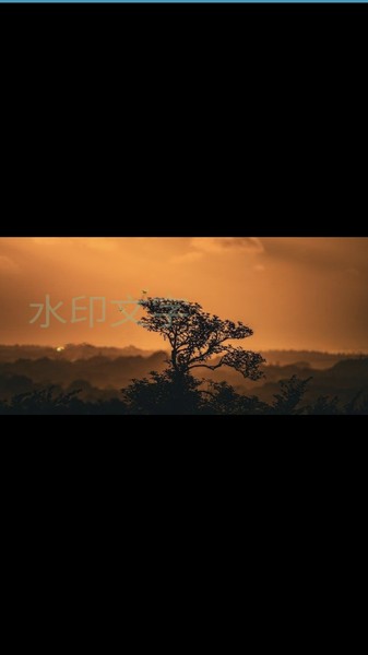 批量图片水印软件截图2