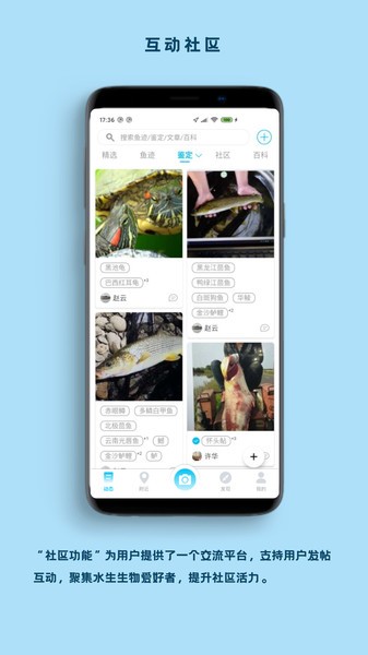 看鱼官方版截图3